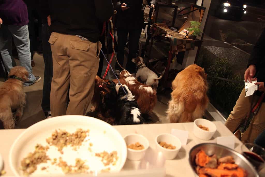 TrueFoodForDogs ristorante localiarreda