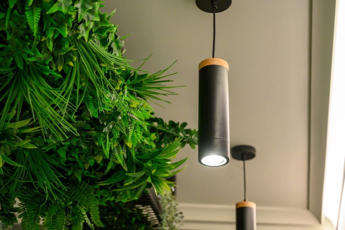 Sushi e Tartare Super Food illuminazione e decorazione con piante | LocaliArreda