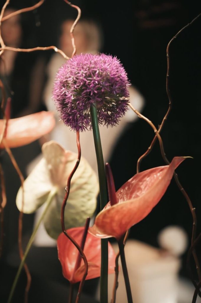 fiori ornamentali locale