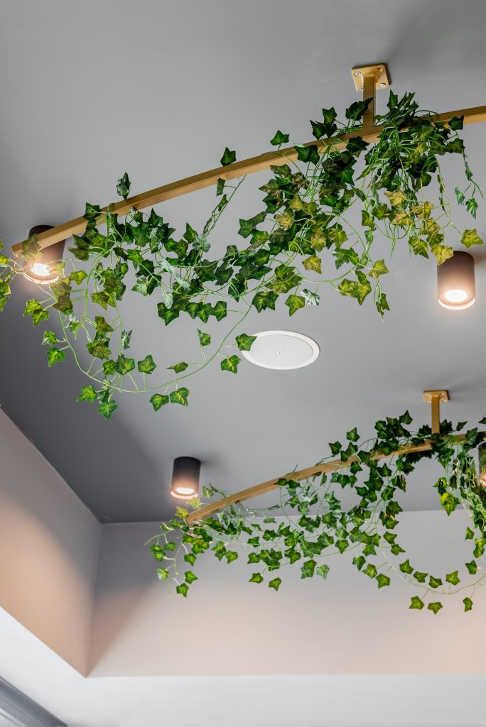 Gordo Bistrot illuminazione e decorazione con piante
