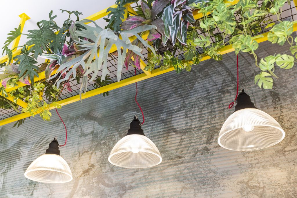 Squisi Eat Pizza al Taglio, illuminazione dall'alto con giardino orizzontale